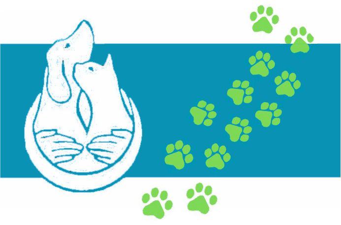 Stones Corner Veterinary Surgery